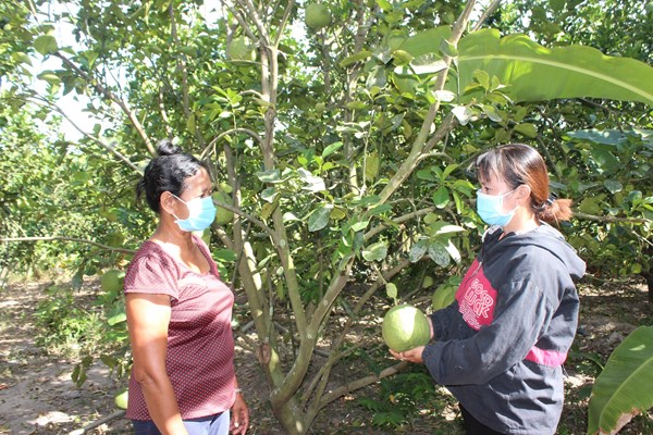 Khánh Hòa:  Đẩy mạnh công tác giảm nghèo bền vững - Anh 1