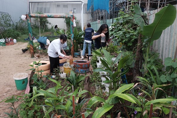 Đà Nẵng: Phát động “môi trường xanh” tại công viên, vườn dạo - Anh 1