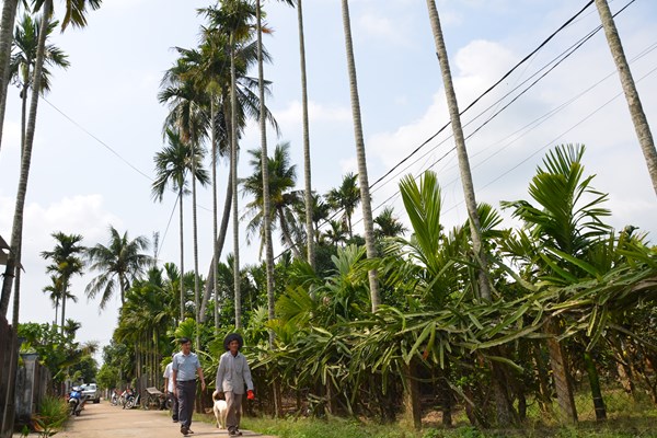 Màu xanh sau những đau thương ở Sơn Mỹ - Anh 7