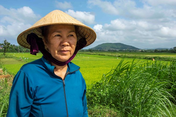 Ronald Haeberle trở lại - Anh 2
