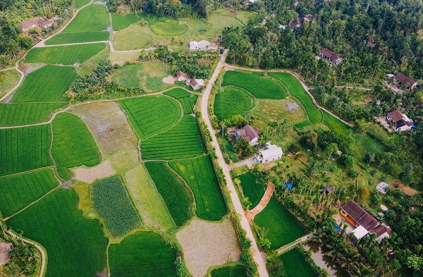 Quảng Nam: Cần gỡ khó cho du lịch Tiên Phước - Anh 1