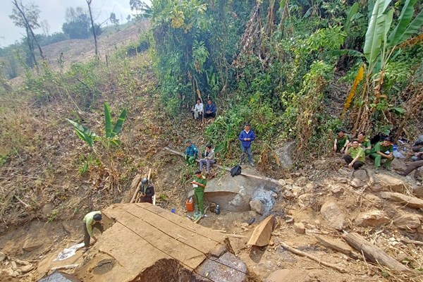 Kon Tum: Bắt quả tang 2 đối tượng đang cưa gỗ trái phép tại rừng - Anh 2