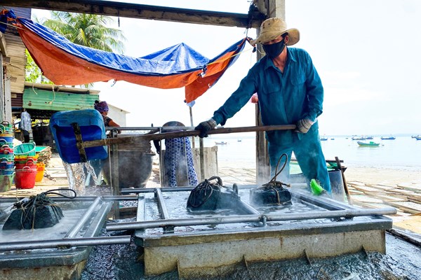 Quảng Ngãi: Rộn ràng mùa hấp cá cơm - Anh 4