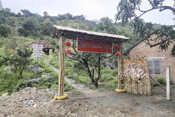 Tiến hành cưỡng chế hàng loạt điểm du lịch, nhà hàng… xây dựng trái phép ở TP Quy Nhơn - Anh 1