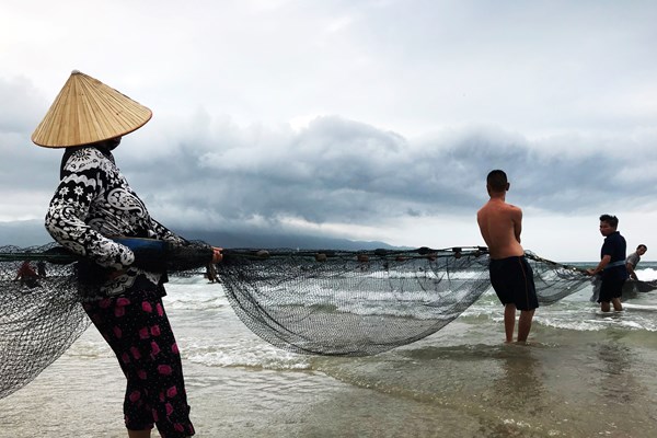Lộc biển đãi người kéo lưới rùng bãi ngang - Anh 3