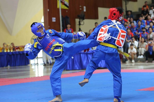 Việt Nam giành 8 HCV tại giải Vovinam Đông Nam Á - Anh 1