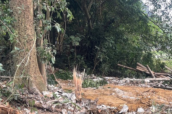 Vụ xâm phạm danh thắng quốc gia hồ Đồng Vụa (Nga Sơn, Thanh Hóa) : Ông Hoàng Minh Thanh đã tự nguyện tháo dỡ công trình vi phạm - Anh 1