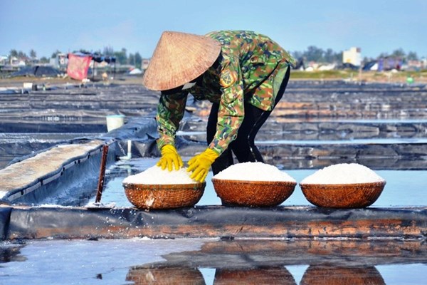 Đồng muối Sa Huỳnh trở thành điểm du lịch cộng đồng hấp dẫn - Anh 5