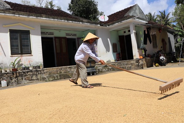Cựu chiến binh hiến đất xây dựng Nhà văn hóa - Anh 4