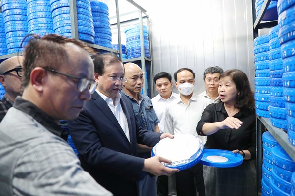 Dứt điểm những vướng mắc tại Hãng phim truyện Việt Nam (Bài 3): Đền bù là việc nội bộ của công ty - Anh 1