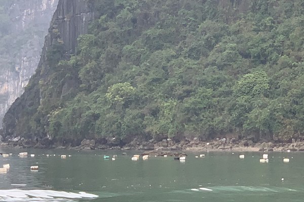 Yêu cầu báo cáo rác thải ngập trên vịnh Hạ Long và vịnh Lan Hạ - Anh 1