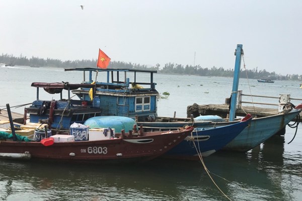Bắt quả tang nhiều phương tiện dùng xung điện đánh bắt cá tại biển Cửa Đại - Anh 1