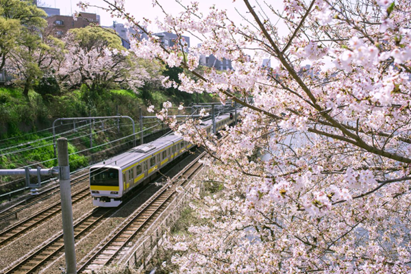 Berlin (Đức) là thành phố tốt nhất thế giới về giao thông công cộng - Anh 2
