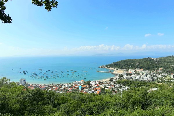 Đình chỉ phương tiện đường thủy ở TP Quy Nhơn (Bình Định):Dân xã đảo kêu, thành phố nói sẽ hỗ trợ tạm thời - Anh 2