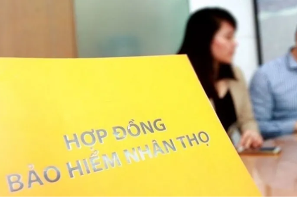 Bộ Tài chính cầu rà soát, hoàn thiện các quy định bảo vệ quyền lợi người tham gia bảo hiểm nhân thọ - Anh 1