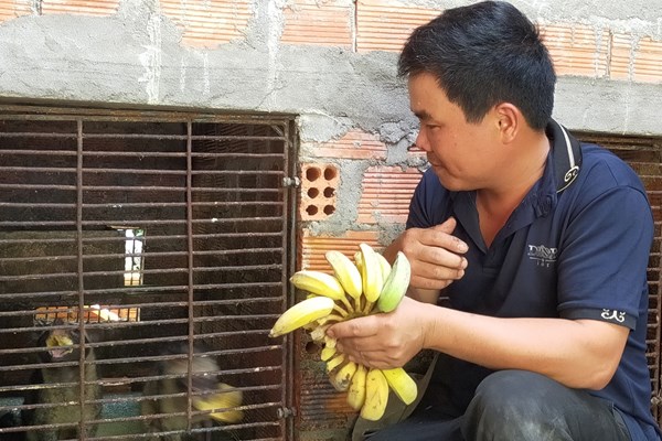 Quảng Ngãi cấp mã số cho hộ gia đình nuôi chồn hương - Anh 2