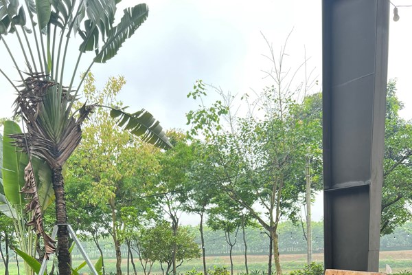 Giáo dục STEM: Học mà chơi, chơi mà học - Anh 1