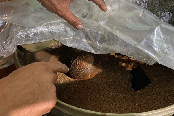 Quảng Ngãi: Người dân “khát nước sạch” bên cạnh nhà máy nước - Anh 3