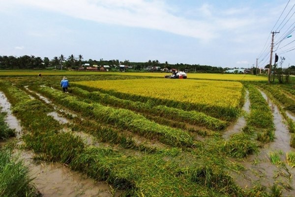 Kon Tum: Thiệt hại gần 6,8 tỉ đồng do mưa đá kèm gió lốc - Anh 1