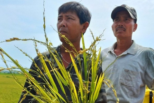 Kon Tum: Thiệt hại gần 6,8 tỉ đồng do mưa đá kèm gió lốc - Anh 2