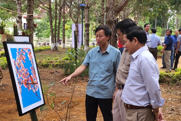 Kon Tum: Khai mạc các sự kiện Văn hoá – Du lịch huyện Kon Plông năm 2023 - Anh 6