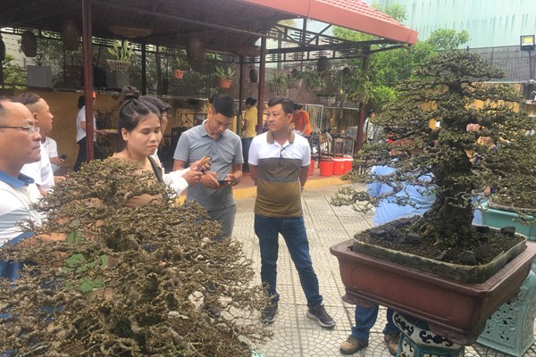 Đại hội và triển lãm Hội Sinh vật cảnh Đà Nẵng - Anh 5