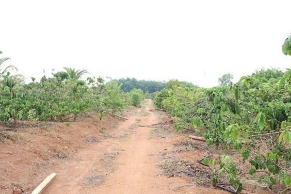 Kon Tum: Vi phạm quy định về bồi thường, hỗ trợ 3 cán bộ bị khởi tố, bắt giam - Anh 2