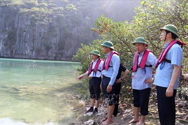 Những 
