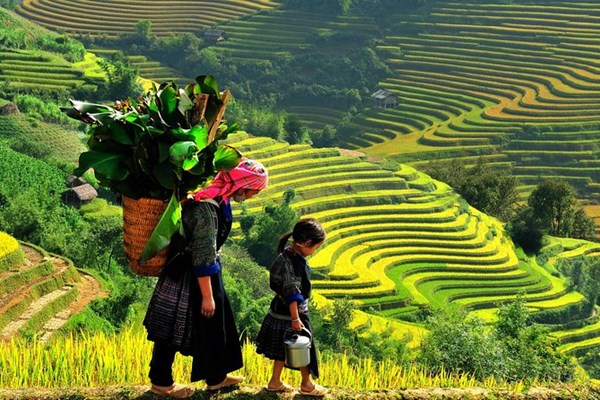 Sa Pa là thị trấn nhỏ đẹp nhất thế giới - Anh 1
