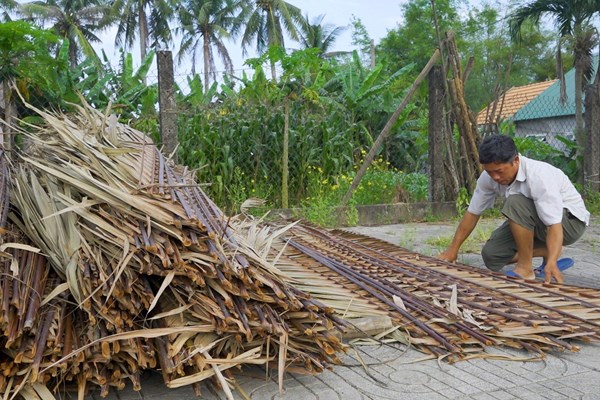 Rừng dừa nước Tịnh Khê trở thành điểm đến du lịch hấp dẫn - Anh 3