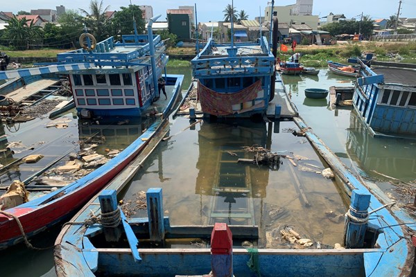Quảng Ngãi: Xác tàu cá gây ô nhiễm môi trường ở cảng cá - Anh 4