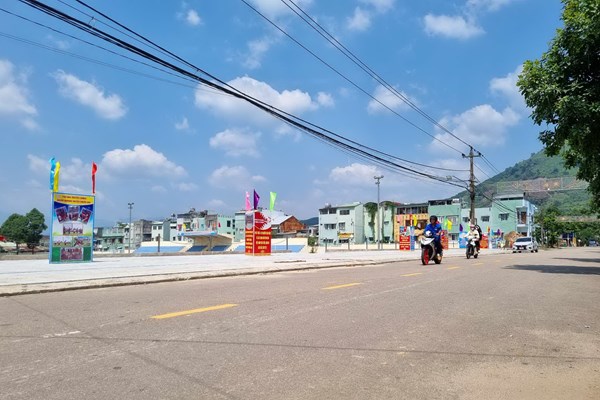 Chỉnh trang đô thị, đ​​​​​​​ang tâm triệt hạ hàng cây sao đen - Anh 2