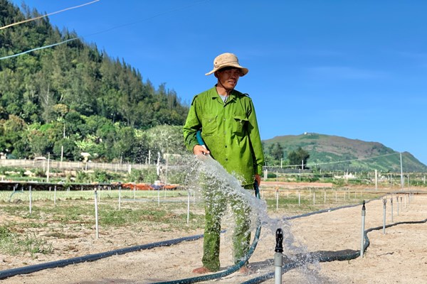 Đảo Lý Sơn “khát” nước ngọt - Anh 1