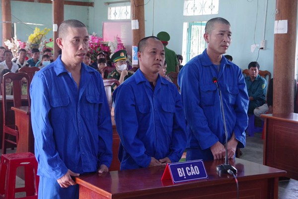 Hơn 21 năm tù cho 3 đối tượng phá rừng trái phép - Anh 1
