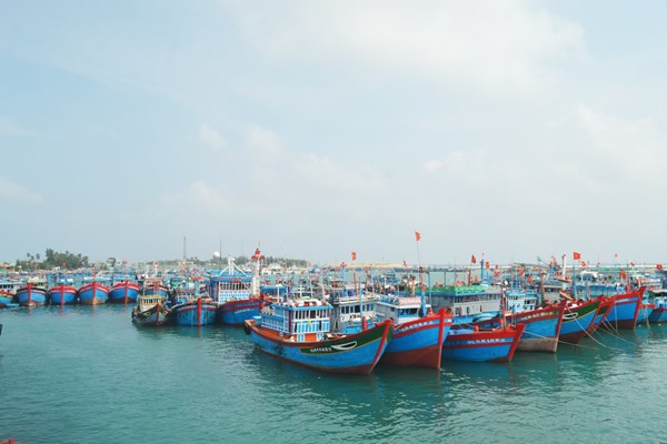 Đồng hành cùng ngư dân bám biển, chung sức gỡ “thẻ vàng” IUU - Anh 2