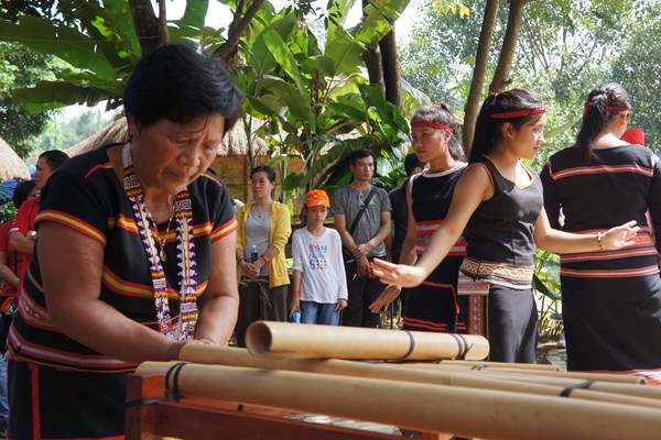 Ngày hội gia đình tại “Ngôi nhà chung” - Anh 1