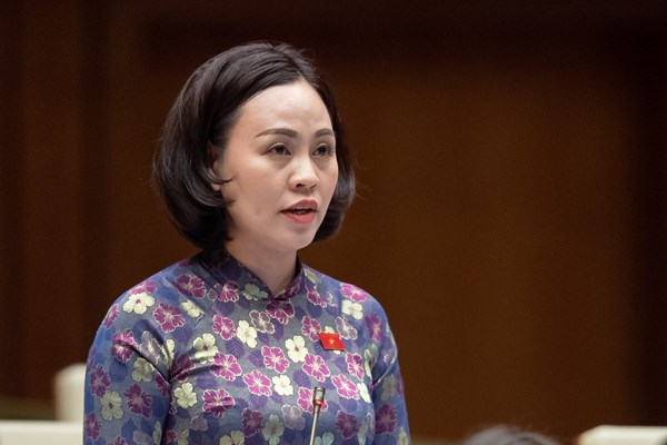 Đề nghị tăng mức chi ngân sách nhà nước cho phát triển văn hóa và du lịch - Anh 1