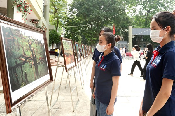 “Một rừng cây, một đời người”: Tiếng nói từ trái tim của những người làm nghệ thuật bảo vệ môi trường - Anh 10