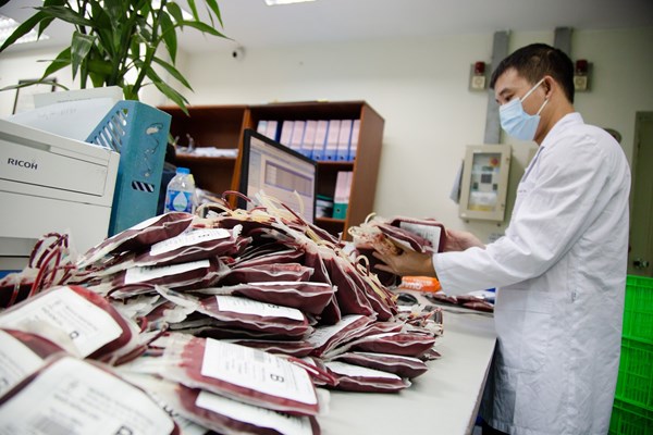 Viện Huyết học - Truyền máu TƯ tăng cường đảm bảo nguồn máu cho Cần Thơ và khu vực Tây Nam Bộ - Anh 1