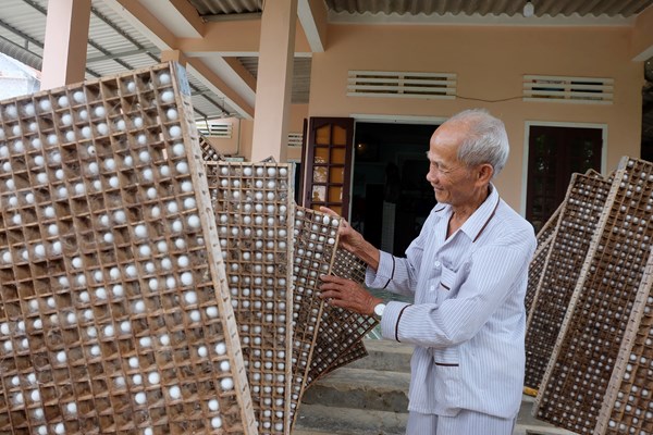 Giữ lửa nghề trồng dâu, nuôi tằm - Anh 4