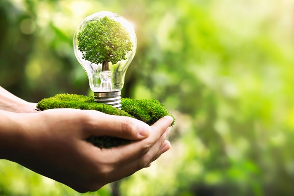 Phấn đấu hằng năm tiết kiệm tối thiểu 2,0% tổng điện năng tiêu thụ - Anh 1