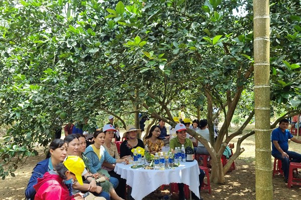 Nông dân phát triển kinh tế “nhờ” làm du lịch - Anh 4