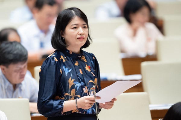 Đại biểu đề nghị bố trí nhà ở tái định cư cần phải bảo đảm các yếu tố văn hóa truyền thống - Anh 3