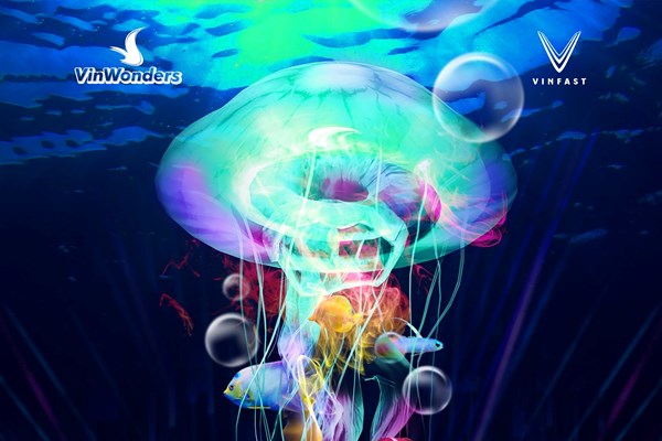 Đặt ngay combo siêu hot VINPEARL X 8WONDER đón hè diệu kỳ cùng Charlie Puth - Anh 1