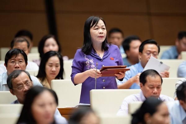 Đại biểu Quốc hội đề nghị bổ sung quy định đất đa mục đích, tạo cơ sở pháp lý cho thí điểm chính sách hợp tác công tư trong lĩnh vực giáo dục, văn hóa, thể thao - Anh 1