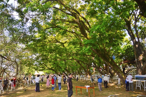 Ngày hội Văn hóa, Thể thao và Du lịch biển Tam Kỳ - Anh 2