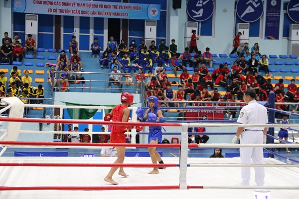 Khai mạc Giải vô địch Võ cổ truyền trẻ - thiếu niên toàn quốc - Anh 4