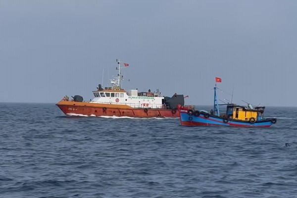 Ngư dân Quảng Ngãi tích cực chống khai thác IUU - Anh 3