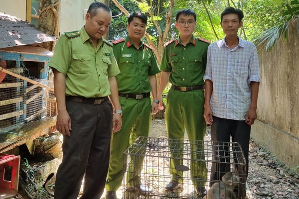 Thừa Thiên Huế vận động người dân giao nộp 2 cá thể khỉ vàng quý hiếm - Anh 1