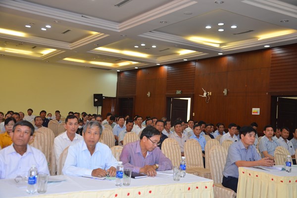 Quảng Ngãi triển khai phong trào Toàn dân đoàn kết xây dựng đời sống văn hóa - Anh 1